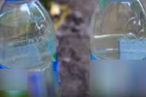 Tuyên Quang: Uống nhầm rượu, bé trai 5 tuổi nhập viện cấp cứu