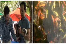 Du lịch đường sông, ngắm cá cảnh nghìn đô tại TP HCM