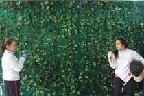 Thú chơi quý tộc của thiếu nữ Sài Gòn