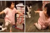 Xuất hiện chú mèo láu cá nhất quả đất