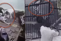 Những tên trộm bất thành bị đánh nhừ tử kiểu hài hước