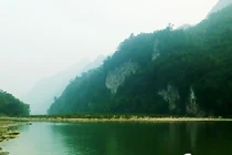 Ly kỳ cây lạ giúp người chết sống lại ở vách đá Thanh Hóa 