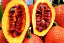 Những công dụng "thần kỳ" của hạt gấc trong chữa trị bệnh