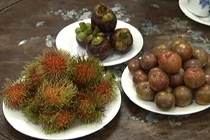 Dinh dưỡng không ngờ từ tục ăn quả chua Tết Đoan Ngọ