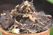 Công dụng chữa bệnh và làm đẹp tuyệt vời từ mộc nhĩ