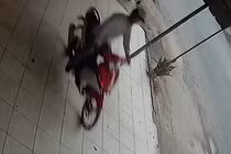 Trộm cắp manh động vào tận nhà dân trộm xe máy