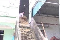 Video: Sáng tạo Cồn tự cứu vượt lũ 