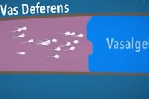 Video: Sắp có thuốc giúp đàn ông tránh thai suốt... 2 năm