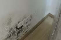 Video: Mẹo xử lý ẩm mốc tường căn hộ, ai cũng có thể làm được