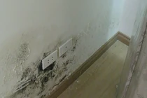 Video: Mẹo xử lý ẩm mốc tường căn hộ, ai cũng có thể làm được