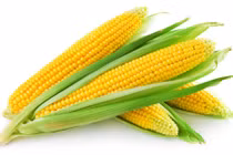 Ngạc nhiên trước công dụng tuyệt vời của bắp ngô