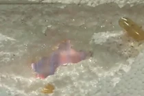 Kinh hãi TPCN Omega-3 TQ ăn mòn miếng xốp