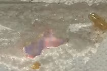 Kinh hãi TPCN Omega-3 TQ ăn mòn miếng xốp