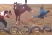 5 pha ngựa đá người "đau hơn hoạn"