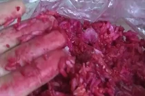 Cơm có màu đỏ lạ, để một tuần không thiu rữa gây hoang mang