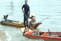 Cá phóng sinh: Người thả - kẻ chờ vớt