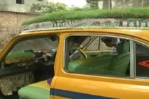 Khám phá dịch vụ taxi chống nóng bằng... cỏ