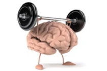 9 sự thật thú vị về bộ não người