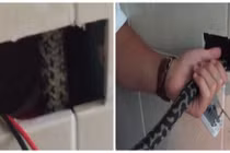 Phát hoảng khi thấy con trăn ở trong ổ cắm điện