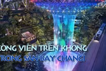 Thán phục công viên khổng lồ “treo” trong sân bay Changi 