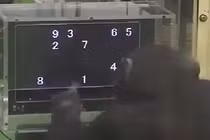 Tinh tinh chơi game siêu đẳng như con người gây ngỡ ngàng