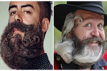 Những bộ râu hài hước nhất quả đất (2)