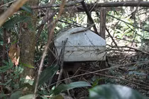 Rợn người vào thăm khu rừng “ma” ở Tây Nguyên