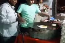 Ngỡ ngàng cảnh đập trứng ra... gà con