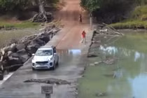 Tài xế nín thở chờ cá sấu khổng lồ uể oải qua đường