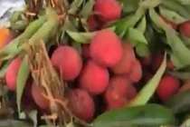 Vải thiều Việt Nam “hoành tráng” trên đất Thái Lan