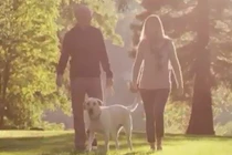 Bí quyết giảm cân mà không cần tập thể dục