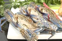 Cách chọn, chế biến để loại bỏ ký sinh trùng trong ghẹ 