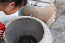 Gần 1.000 hộ dân mất tết vì không có nước ngọt