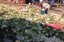 Kinh hoàng rau nhặt từ bãi rác bán tại chợ dành cho công nhân