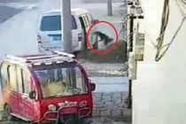 “Cẩu tặc” đi ôtô, quăng dây thừng bắt chó trong 6 giây