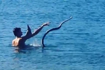 Kỳ lạ người đàn ông thảnh thơi uống bia, tắm biển cùng… rắn