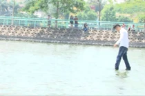 Kinh ngạc với màn đi bộ trên mặt nước Hồ Tây