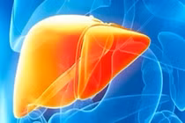 Thực phẩm cho người bị gan nhiễm mỡ nên bổ sung