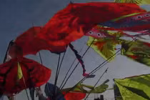 Người dân TP HCM đua nhau thả diều dịp đầu năm