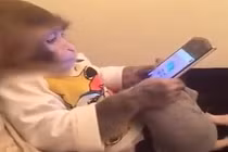 Hình ảnh đáng suy ngẫm về một xã hội lạm dụng công nghệ