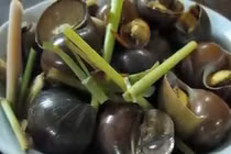 Video: Bỏ ngay những kiểu ăn ốc rước họa vào thân