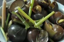 Video: Bỏ ngay những kiểu ăn ốc rước họa vào thân
