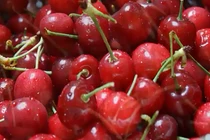 Thập tử nhất sinh sau khi ăn 3 quả cherry
