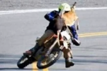 Tổng hợp những tình huống tai nạn cười ra nước mắt