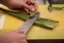 Cách lấy gel lô hội nhanh nhất không phải ai cũng biết