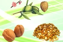 Những công dụng thần kỳ ít biết của hạnh nhân