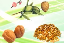 Những công dụng thần kỳ ít biết của hạnh nhân