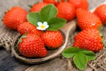 Những thực phẩm giúp da khỏe đẹp không nên bỏ qua