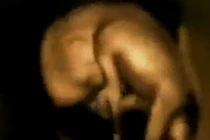 Video ghi lại cảnh em bé nhảy múa trong bụng mẹ