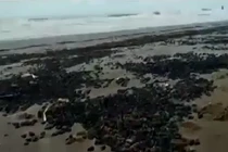 Bọ hung phủ kín bờ biển Argentina báo hiệu ngày tận thế?